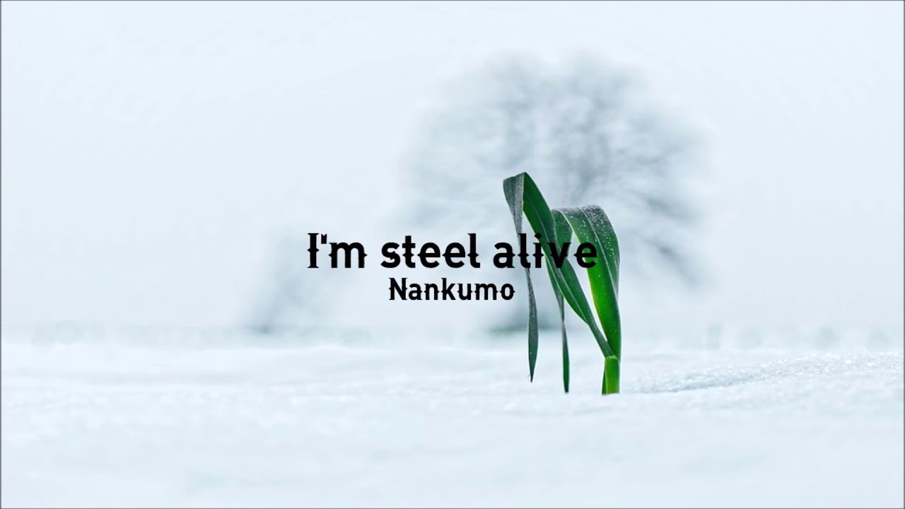24.I'M STEEL ALIVE / Nankumo