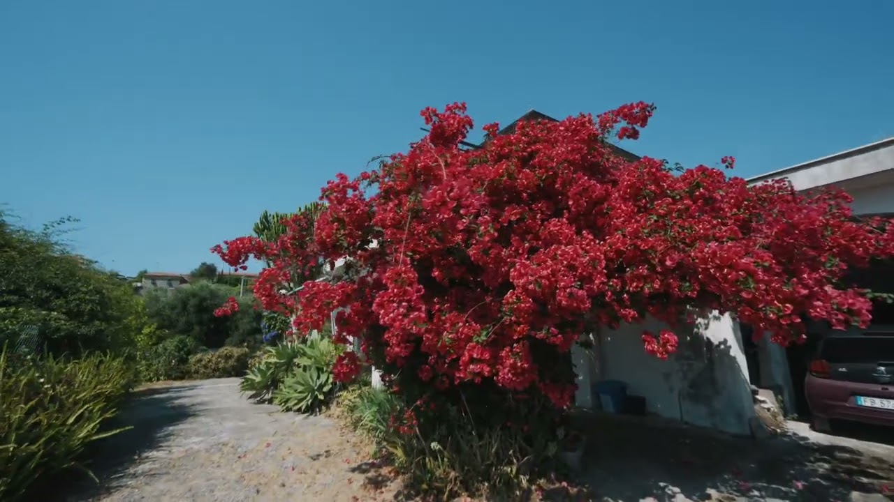 Casa indipendente a Sanremo con bellissima vista sul mare!