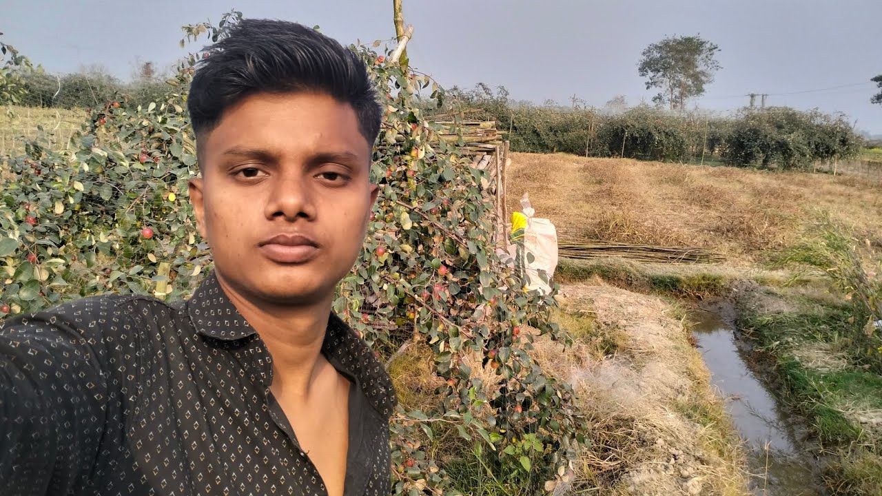কতগুলো আপেল কুলের জমি