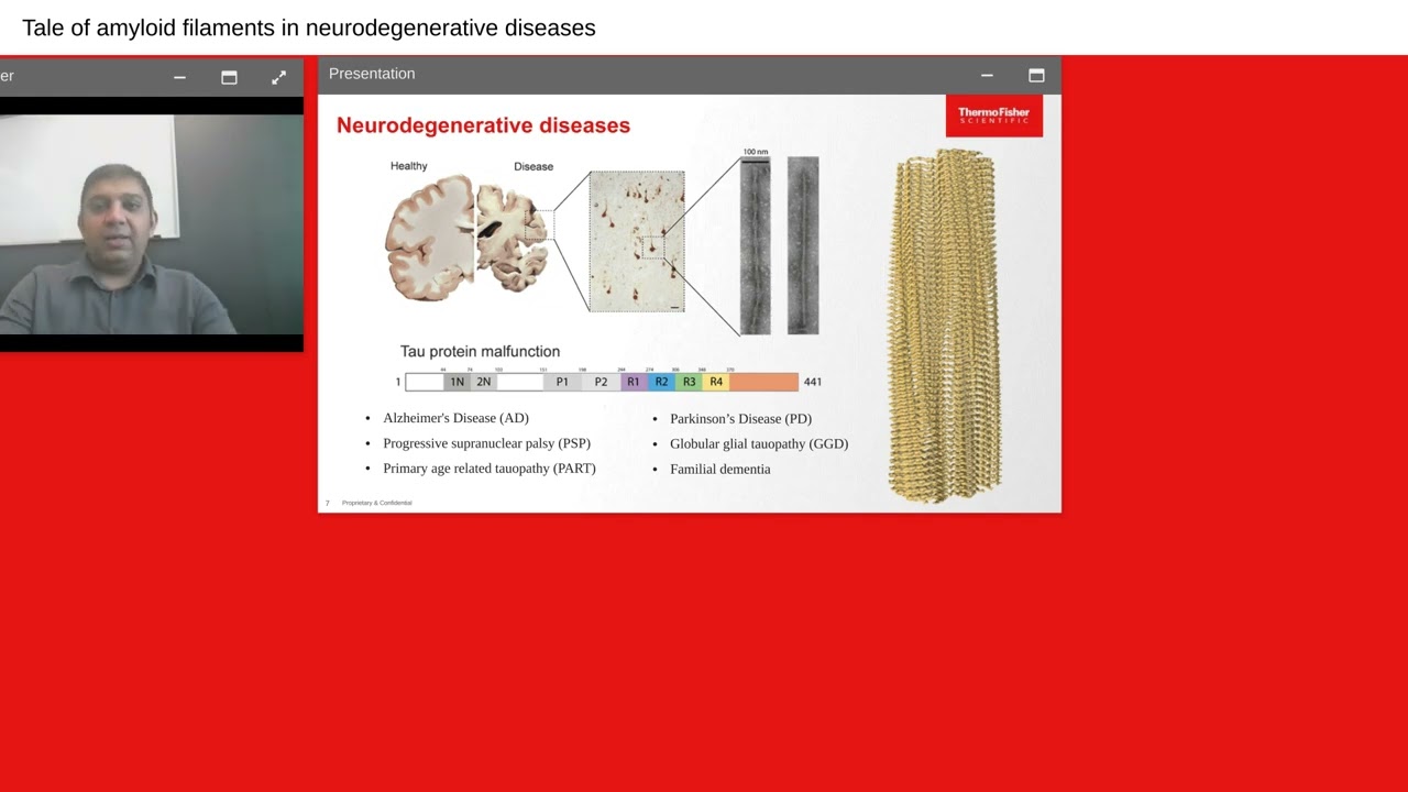 Tale of amyloid filaments in neurodegenerative diseases