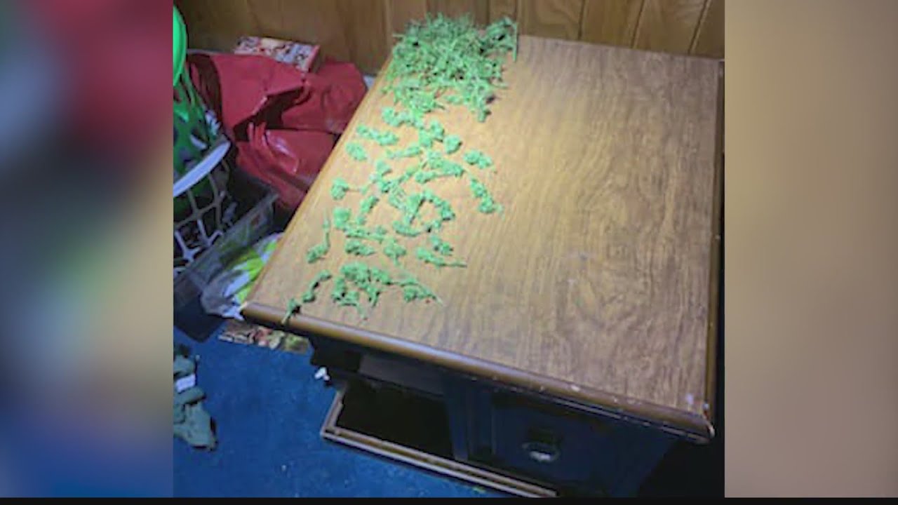 Officials in Somerset make drug bust in Confluence