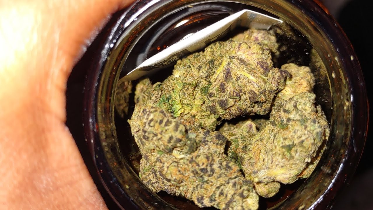 Veteran Grow-Vice City strain review