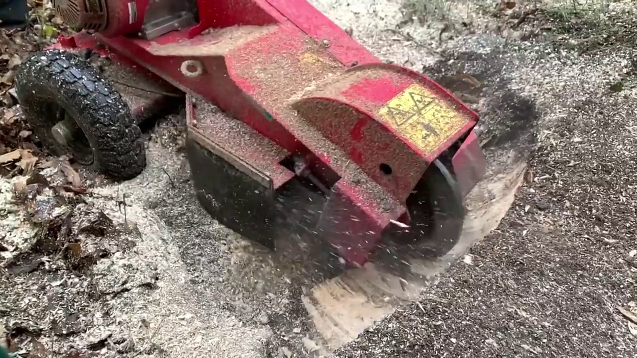 Das Säge-Team, Stubbenfräsen, auch auf engstem Raum und im Hinterhof, Slow motion, FSI P20