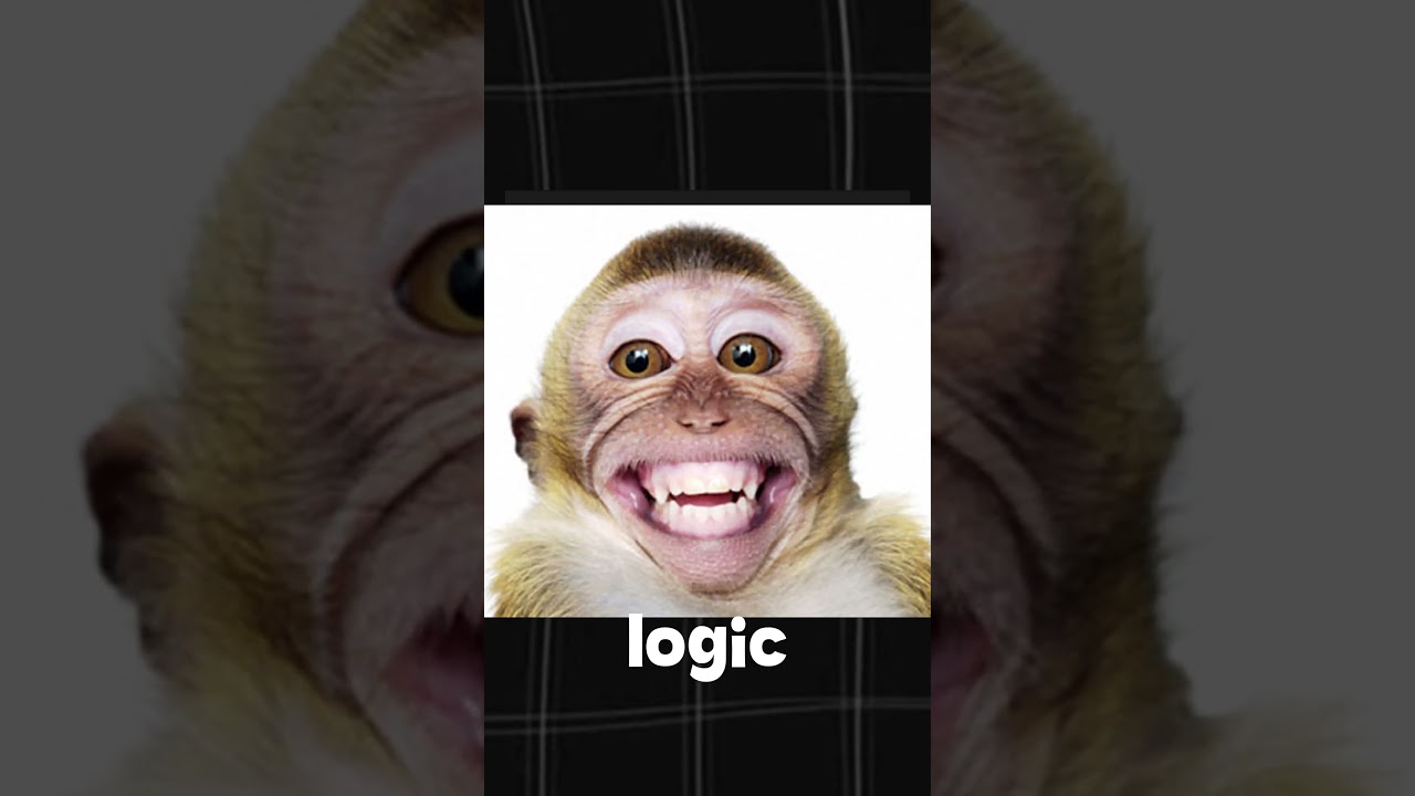 JavaScript vs Monkey Logic 🧠