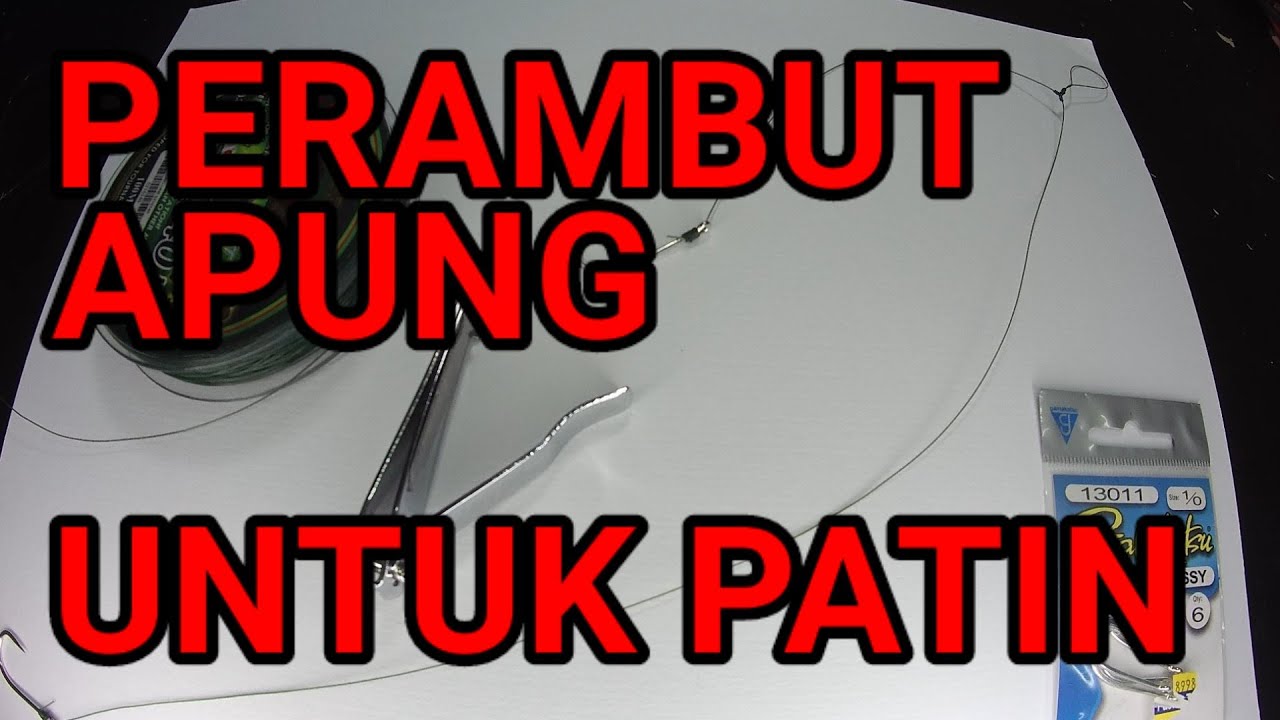 CARA MEMBUAT PERAMBUT APUNG  UNTUK IKAN PATIN