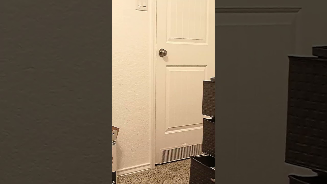 This is a real video 