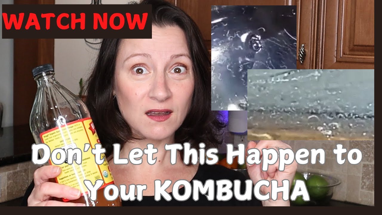 Vinegar Eels in Kombucha *Understanding and Removing Vinegar Eels from Kombucha*