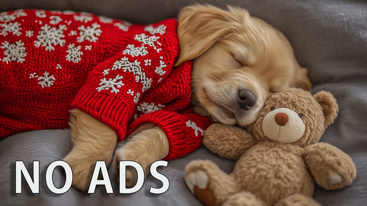 12 HOURS of Dog Calming Music 🐶🌸 Relaxing Sound Waves 🎶 Help Dogs Settle Naturally 💤 No Ads