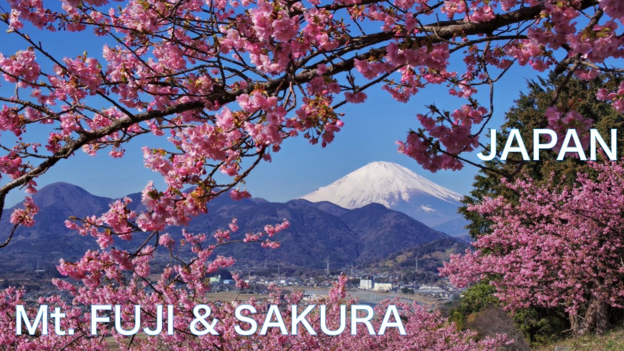 【CHERRY BLOSSOM и Mt.FUJI　SAKURA JAPAN】Восхождение на небольшую гору и просмотр красивых пейзажей