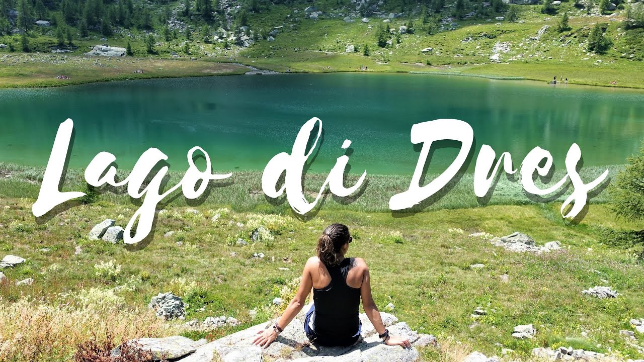 LAGO DI DRES (Valle Orco | Parco del Gran Paradiso) le mucche pascolano libere tra gli escursionisti