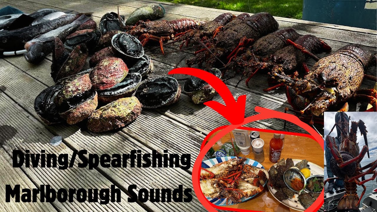 Amazing 3-Day Spearfishing the Marlborough Sounds NZ | Big Crayfish, Paua, Kingfish & more!
