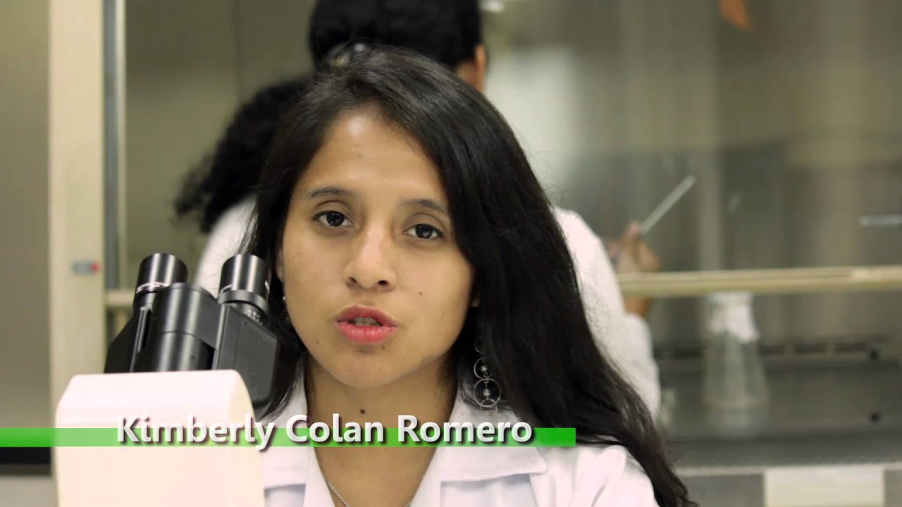 Biorreactores en Biotecnología y Fermentaciones