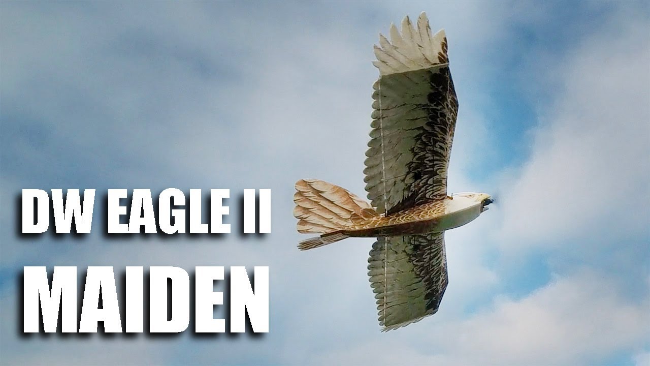 DW Eagle II maiden