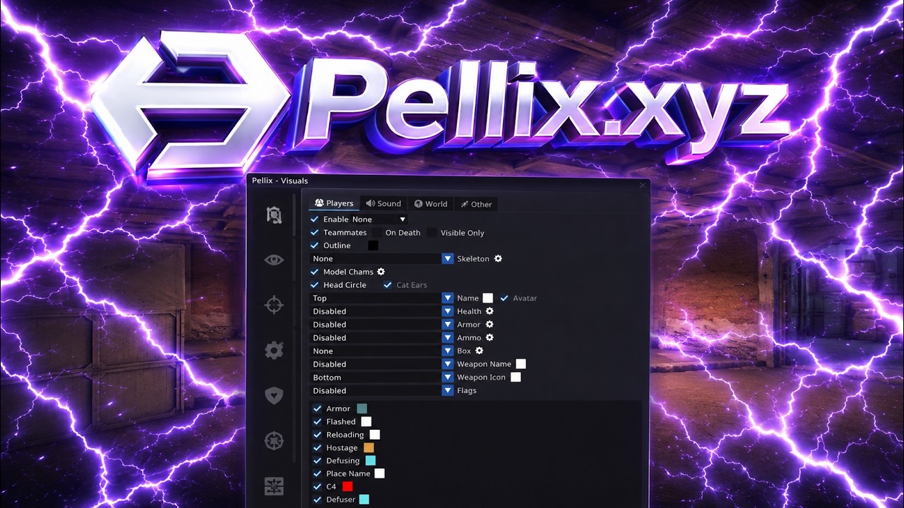 47 KILL CS2 SEMI RAGE external Ft.pellix.xyz #3