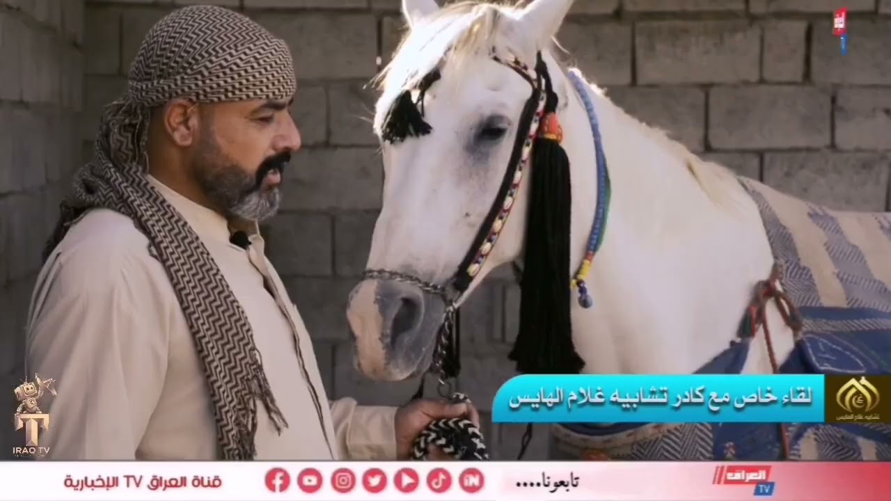 #بالفيديو لقاء حصري مع كادر تشابية غلام الهايس في محافظة واسط