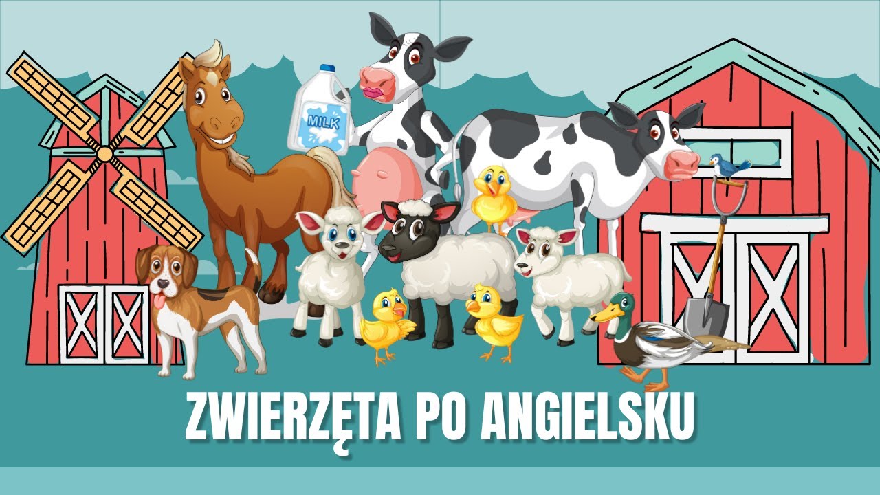 Zwierzęta po angielsku dla dzieci