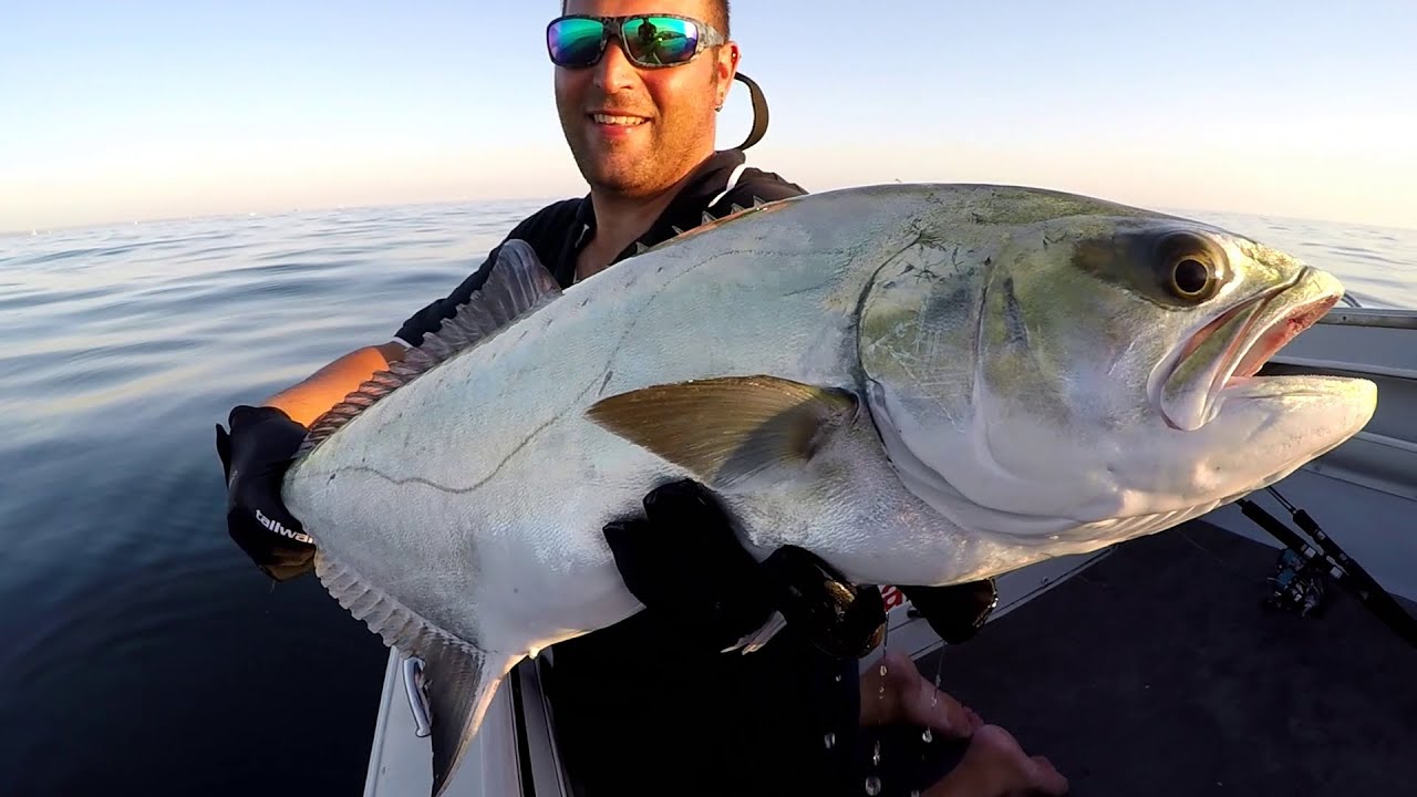 LECCIA A SPINNING - Leccia Spinning Inseguimento Attacco su Popper Top Water - Leerfish Live Attack