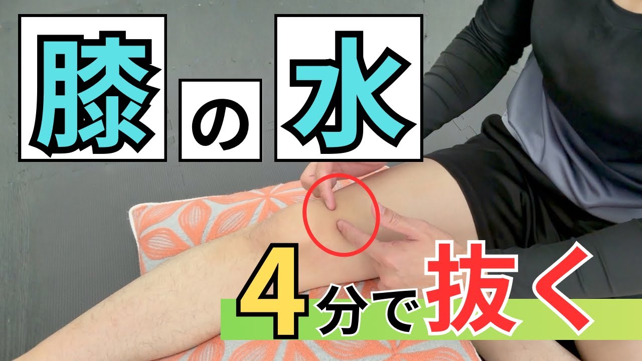【4分で膝の水抜き】 変形性膝関節症でも安心！座ったままできる膝の痛みを治すストレッチ＆筋トレ