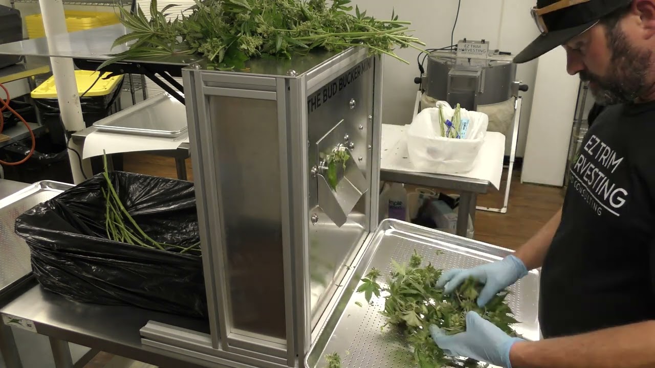 Affordable Cannabis Bucking Machine | Ez Trim