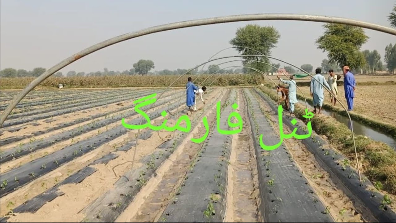 Tunnel lagane ka tarika