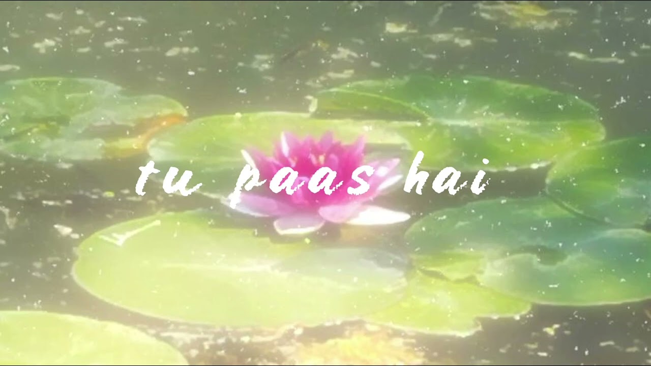 TU PAAS HAI . #fyp #song #remix 