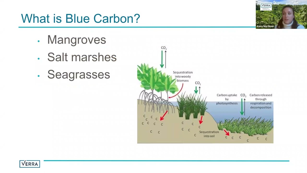 Verra Standards for Sustainability, Resilience, and Carbon