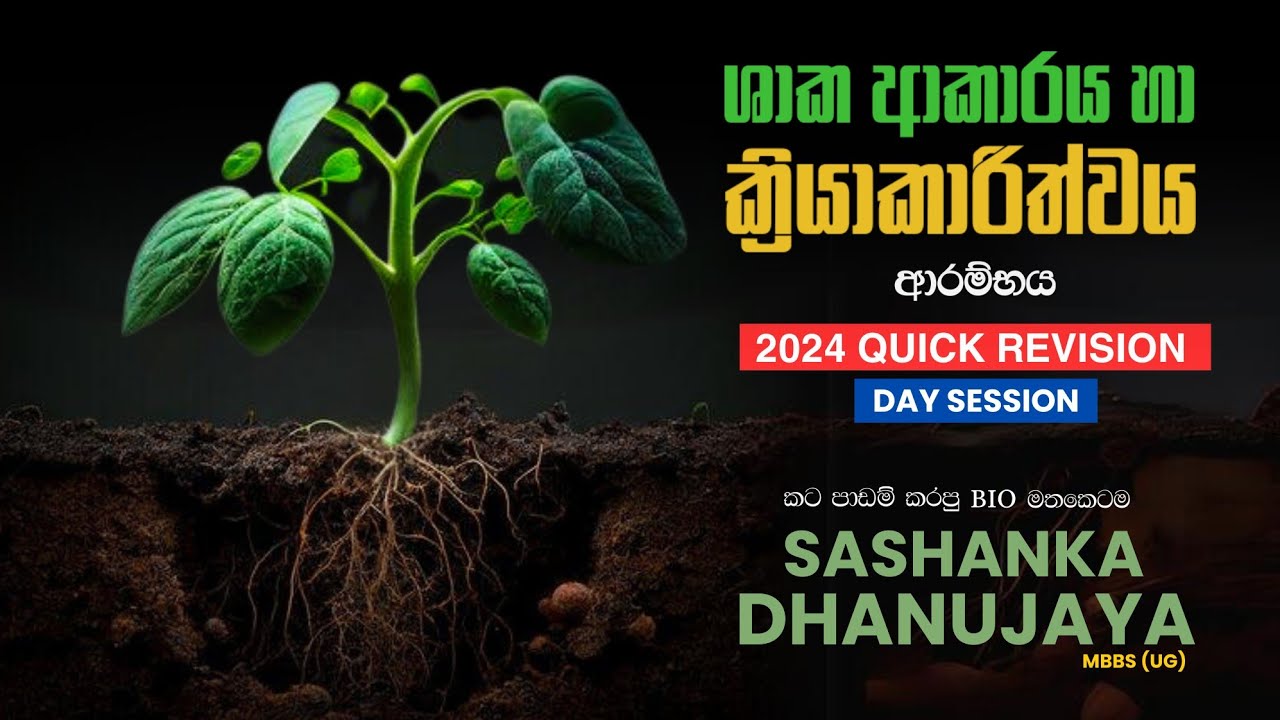 ශාක ආකාරය හා ක්&zwj;රියාකාරිත්වය 01 - Quick Revision Day 01 #biology #revision