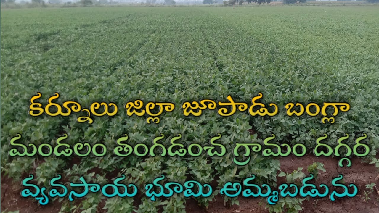 In this land available 