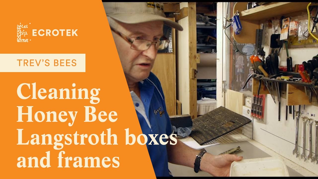 Trevs Bees - Cleaning Honey Bee langstroth boxes and frames. Recovery of propolis.