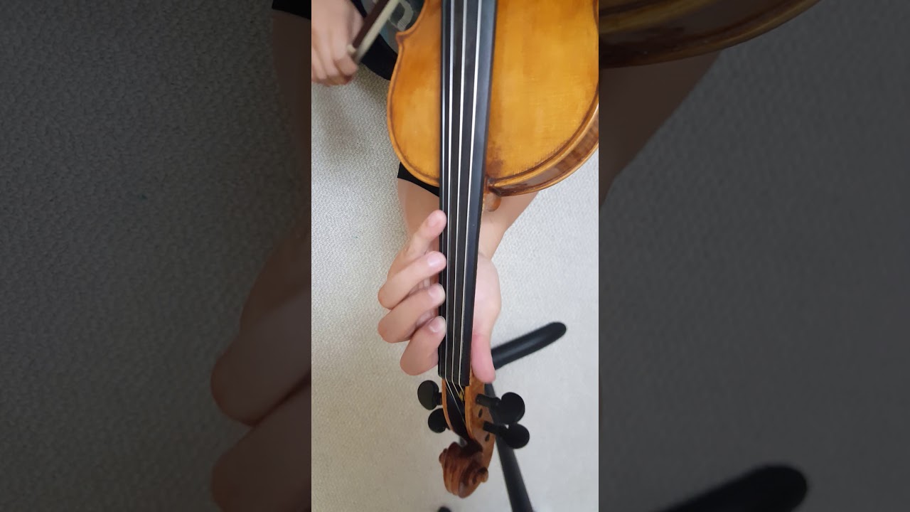 Franz Wohlfahrt Op 45 Etude no 4 Slow Practice