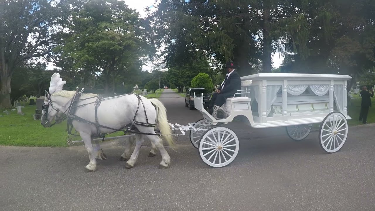 NY Funeral Horse Carriage Company provides an dignified last ride in Amityville, Long Island NY.