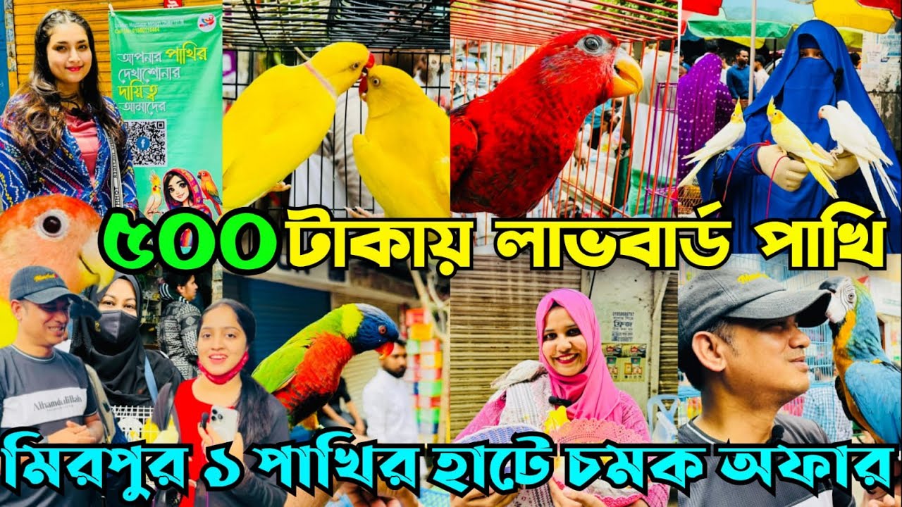 অবিশ্বাস্য ৫০০ টা *কায় লাভবার্ড | মিরপুর ১ পাখির হাট | Mirpur 1 Pakhir Hat @MurshedPets #viralvideo