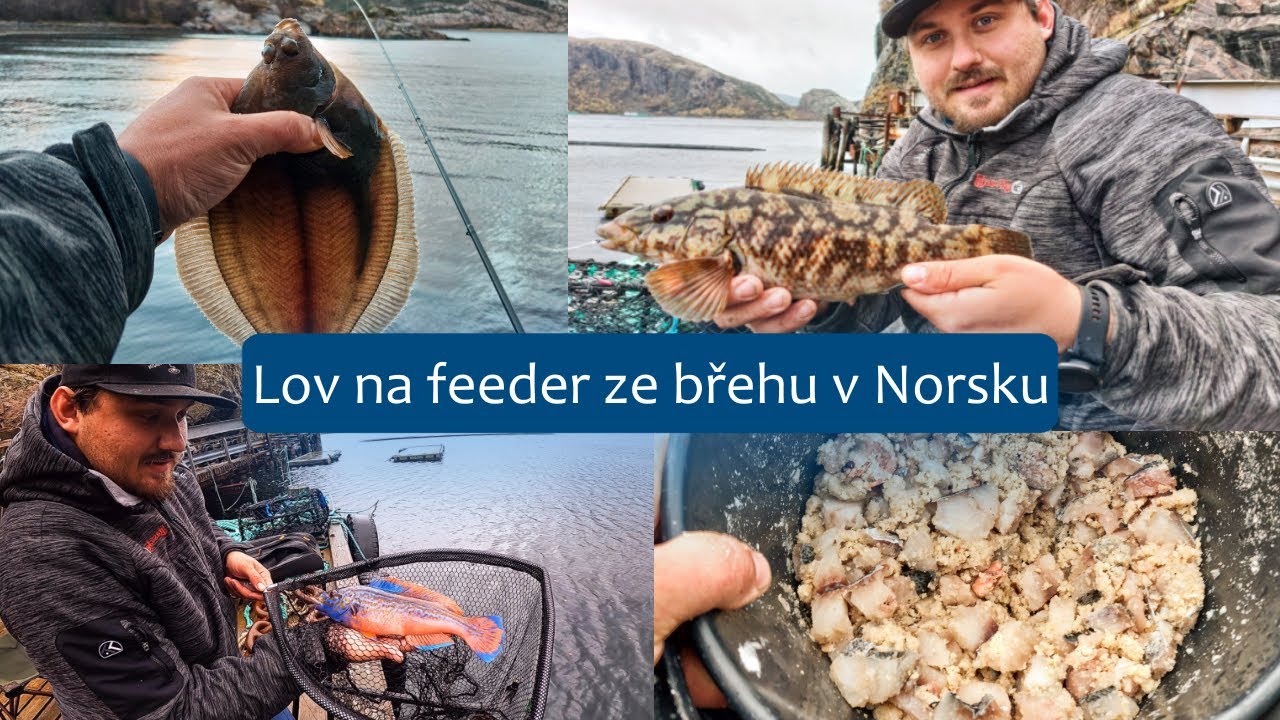 Lov na feeder ze břehu v Norsku