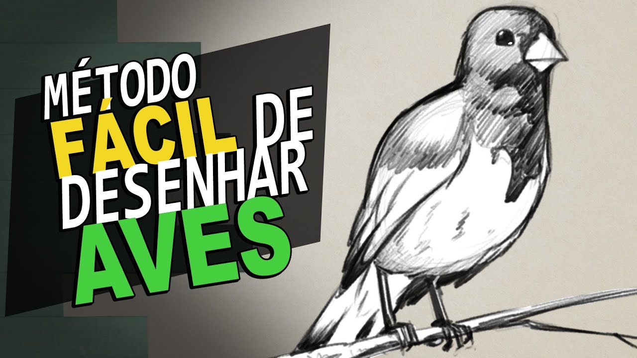 Como Desenhar um Pássaro GUIA COMPLETO! | Dica de Desenho