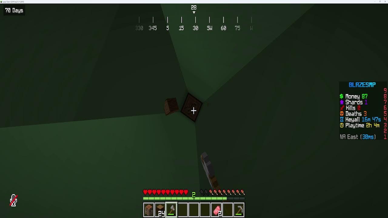 Blaze SMP | Day 1 (ip in description)