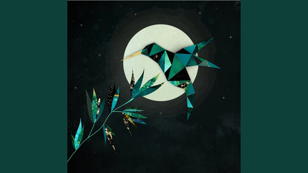 Flight Of The Nebers