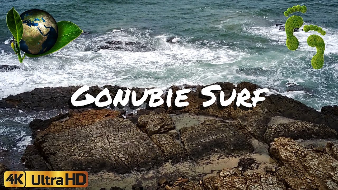 Gonubie Surf