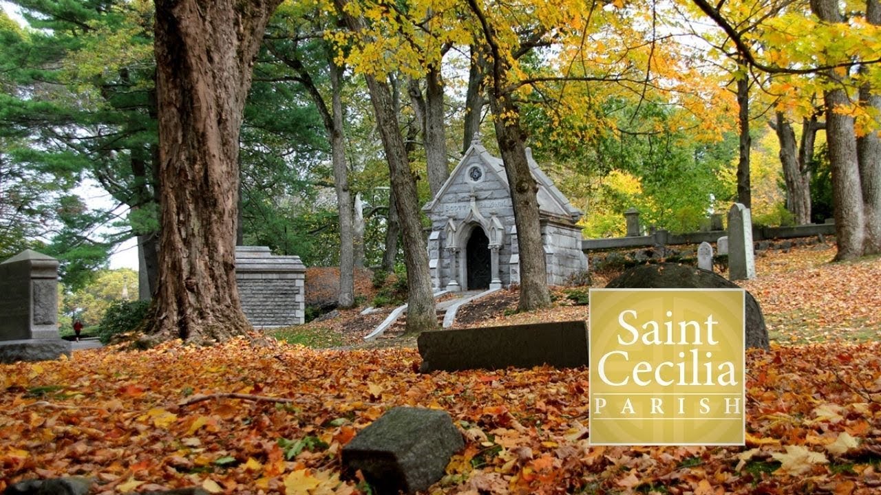 Thirty-First Sunday in Ordinary Time - 10/30/2022