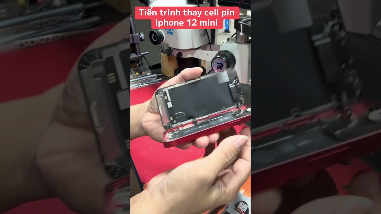 Thay cell pin iphone 12 mini