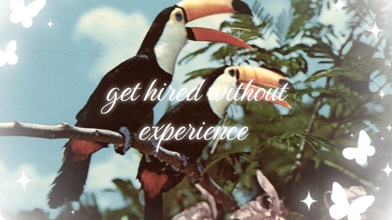 get hired without experience