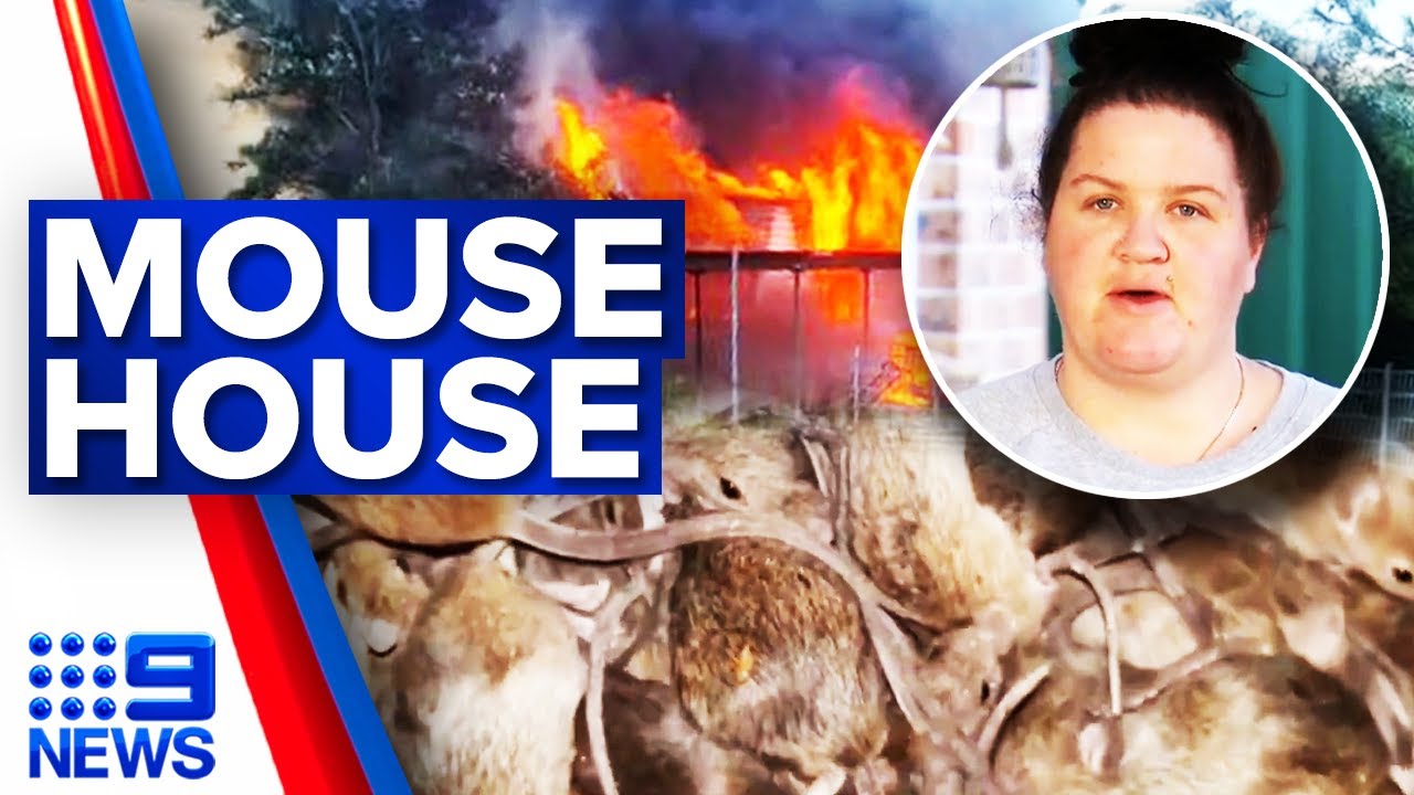 Family left homeless after mice spark house fire | 9 News Australia