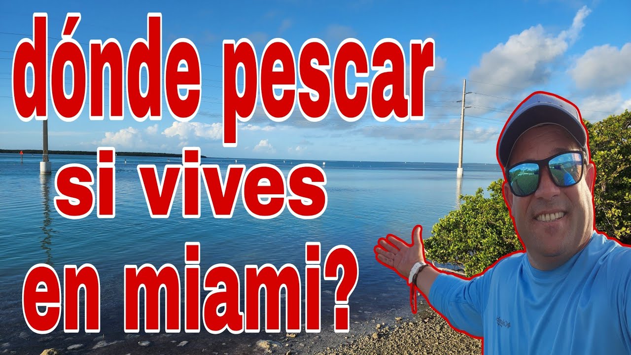 dónde pescar 100% seguro si vives en miami?