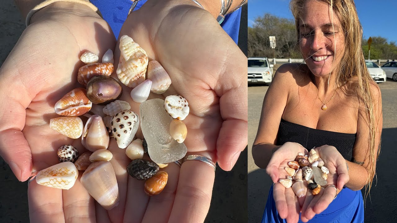 Diving for seashells in Hawai'i (VLOG)