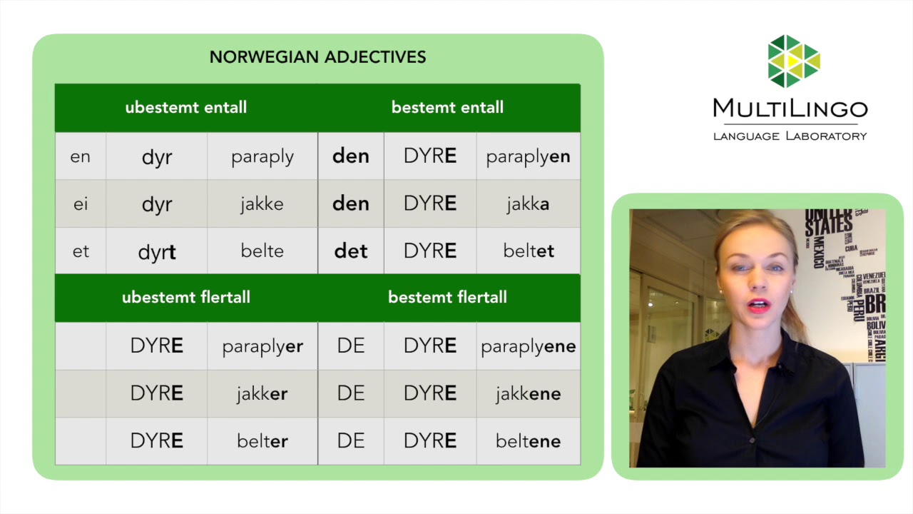 Norwegian Adjectives : part one