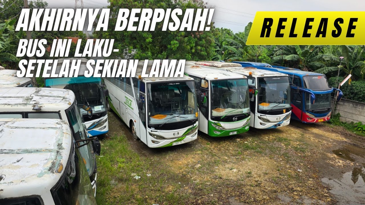 RELEASE | Setelah Lama Menunggu - Akhirnya Bus Ini Dibeli Juga!