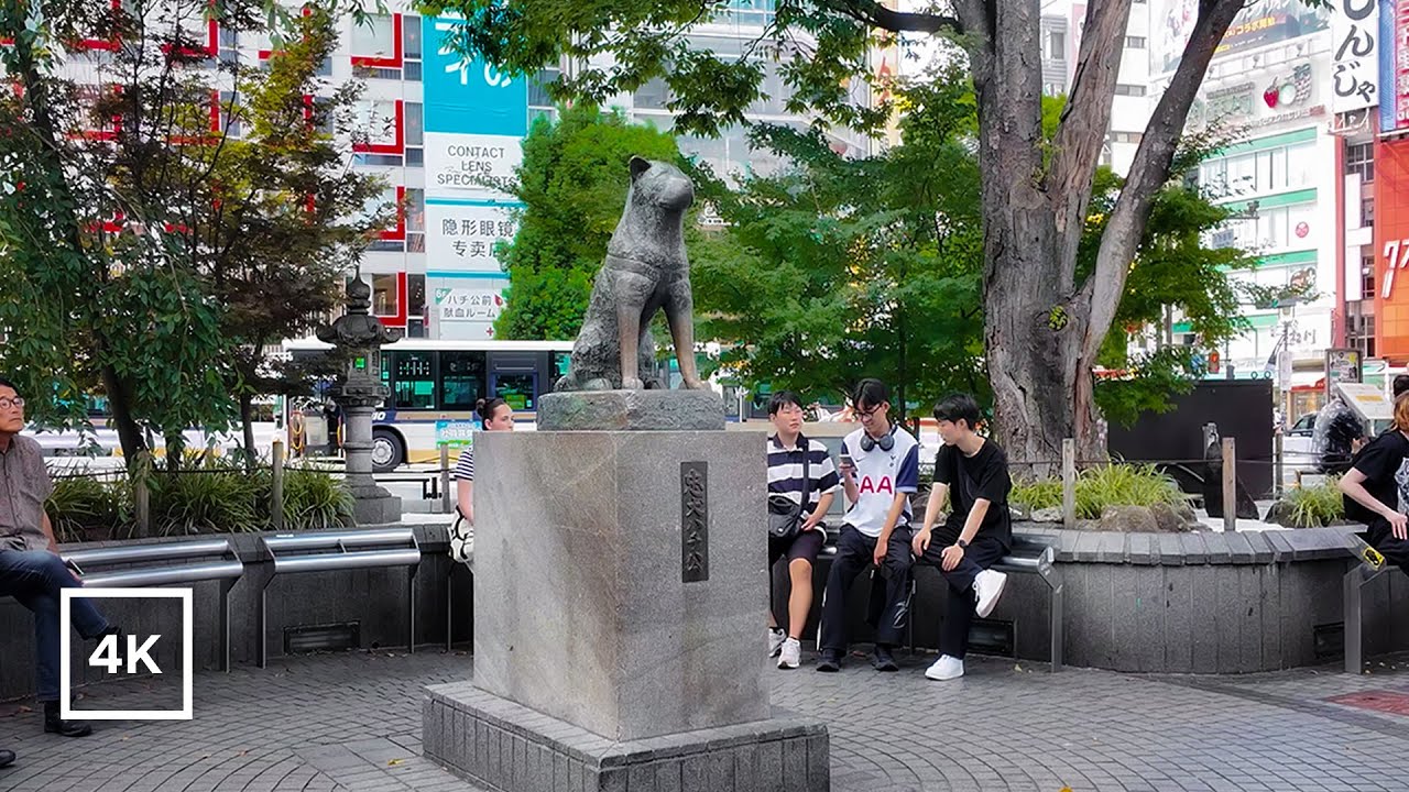 Hachiko Statue in Shibuya, Tokyo Walking Tour [4K]