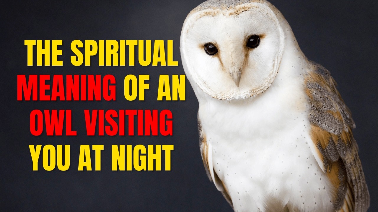 The Spiritual Meaning of an Owl Visiting You at Night