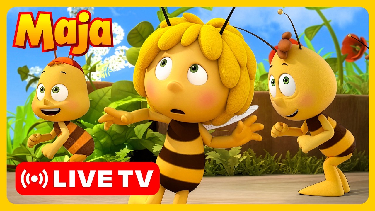 🔴 LIVE! Maja die Biene - Maya kümmert sich um kleine Bienen! 🐝 Für TV | Zeichentrick für Kinder
