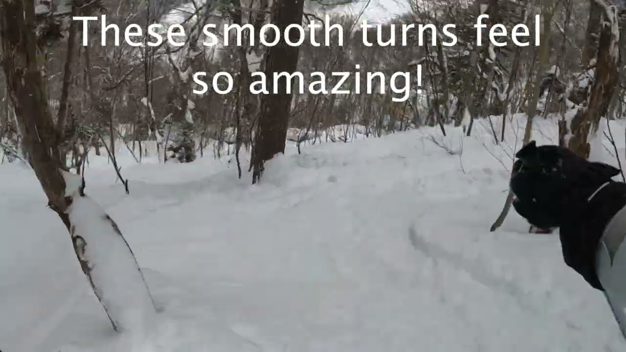 Skiing in a spellbound, powdery forest!