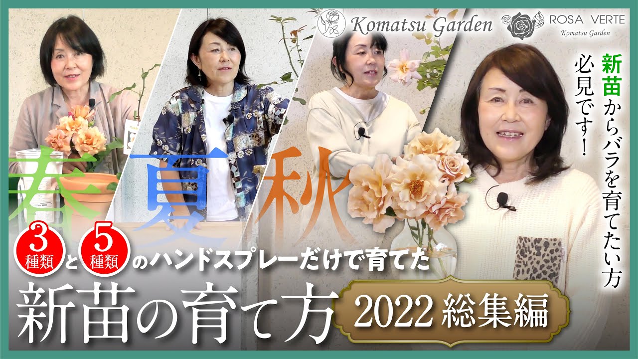 【バラの新苗】新苗の育て方 2022 総集編